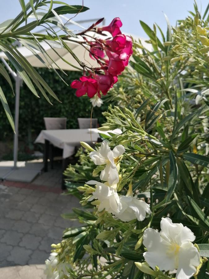 Kertesz Vendeghaz Hotel เอ็กเกอร์ ภายนอก รูปภาพ